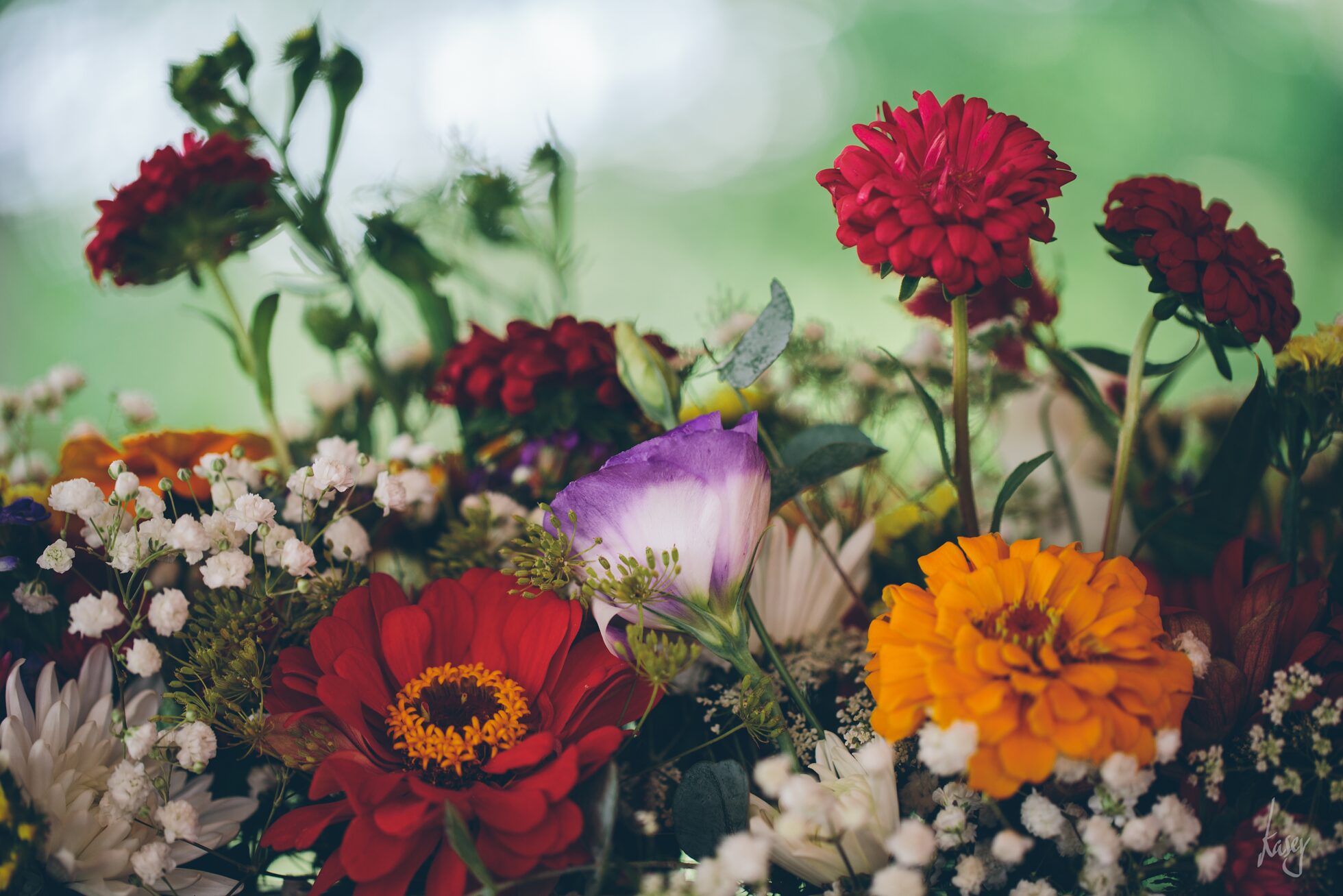 vineyard wedding photography, kasey loftin photography