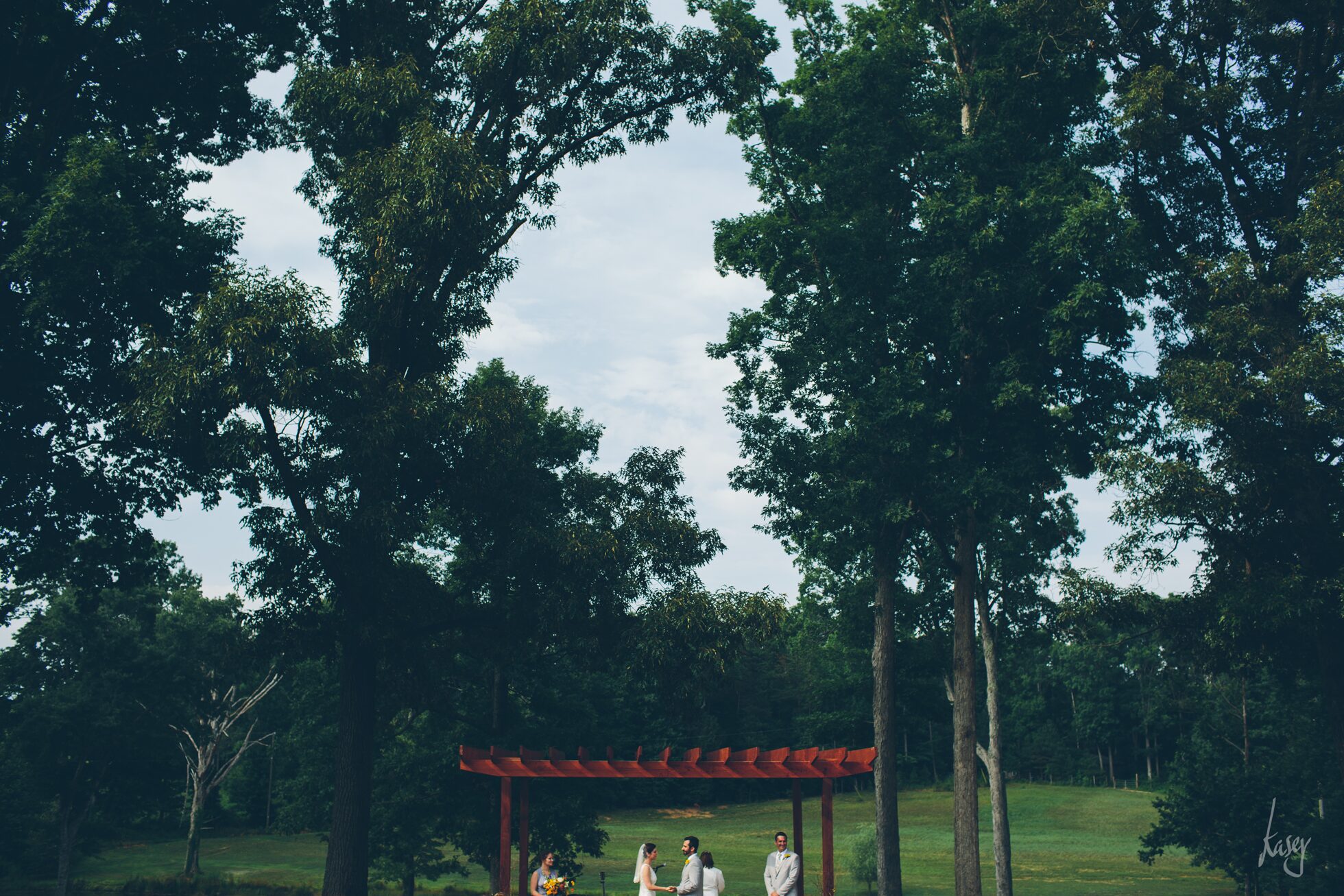 vineyard wedding photography, kasey loftin photography