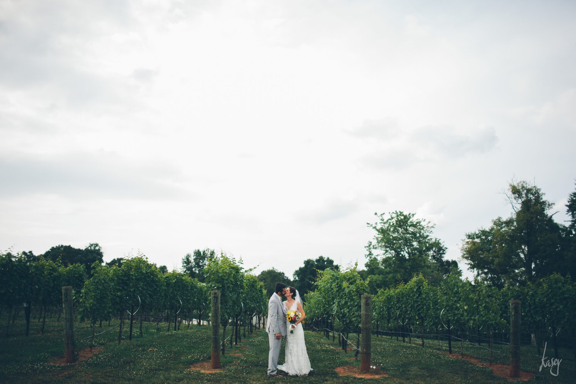 vineyard wedding photography, kasey loftin photography