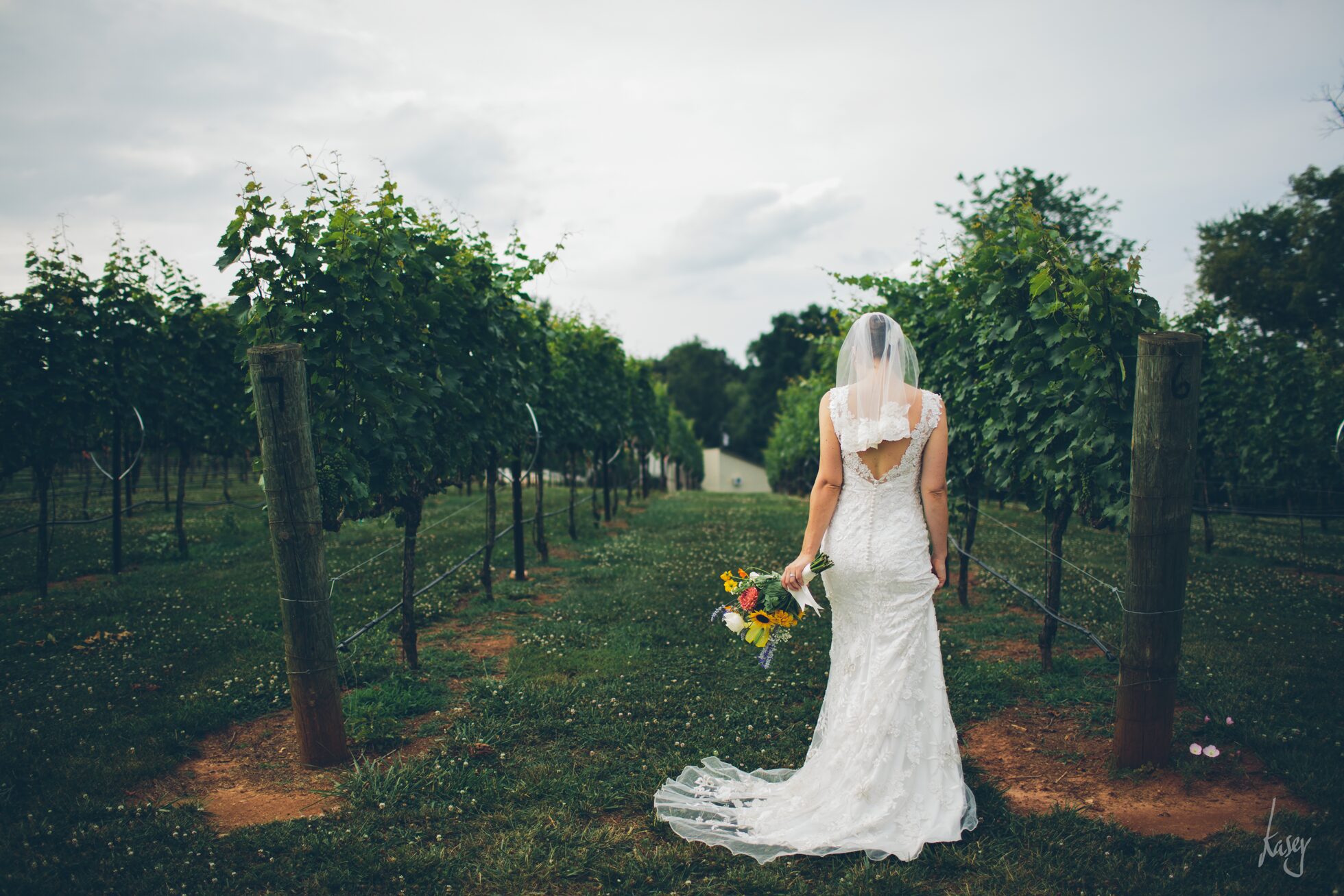 vineyard wedding photography, kasey loftin photography
