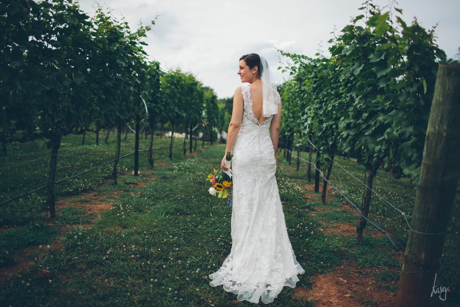 vineyard wedding photography, kasey loftin photography