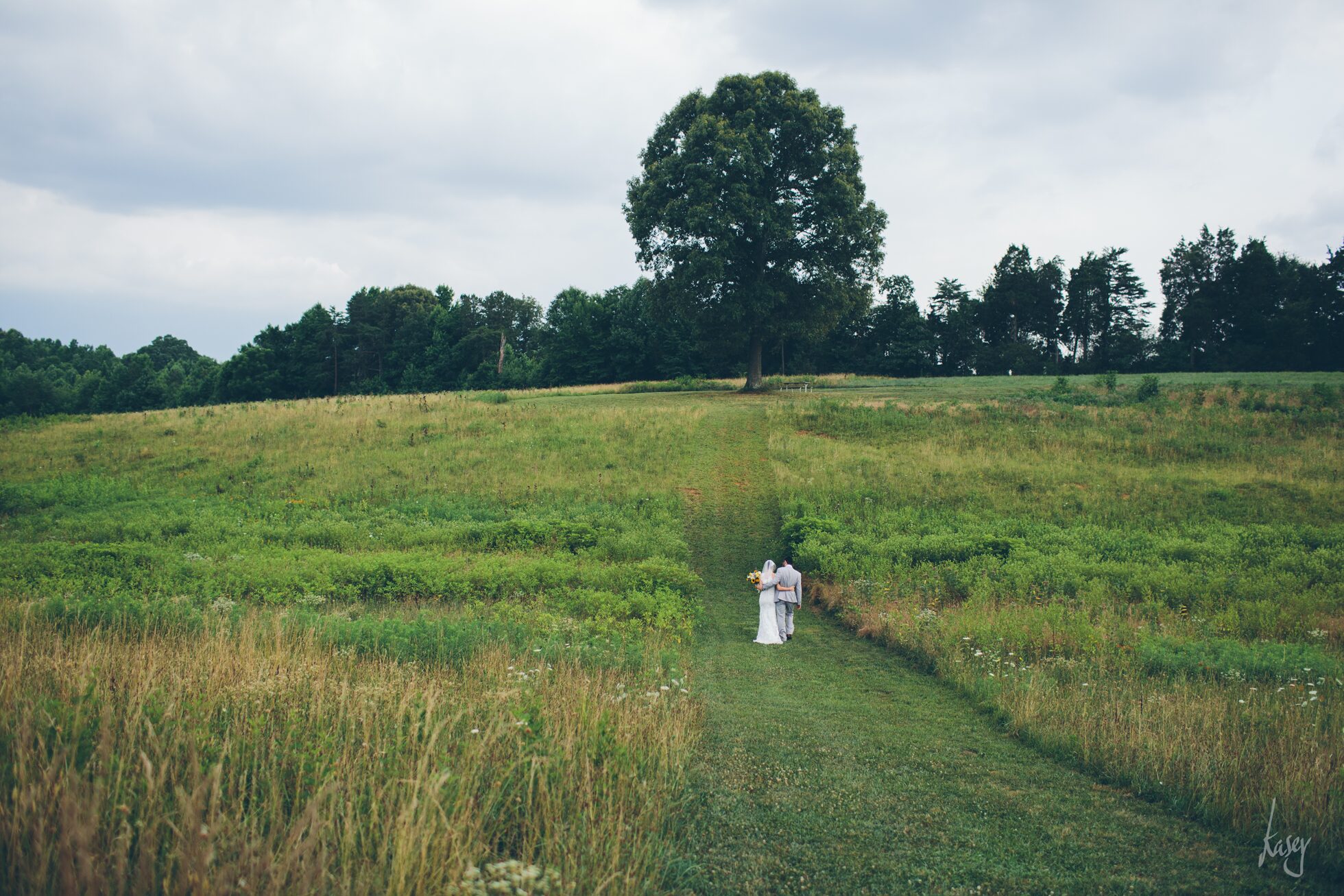 vineyard wedding photography, kasey loftin photography