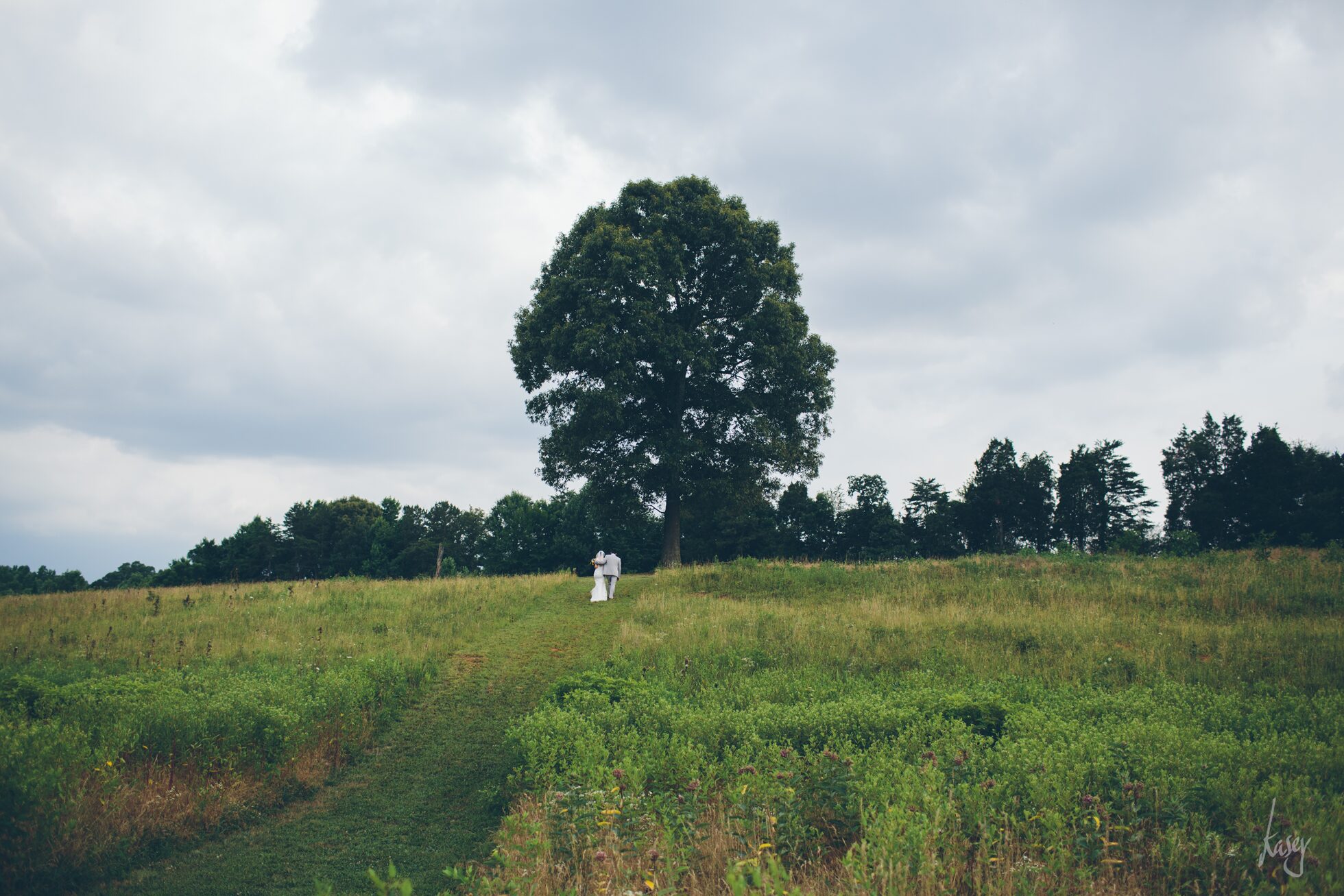 vineyard wedding photography, kasey loftin photography