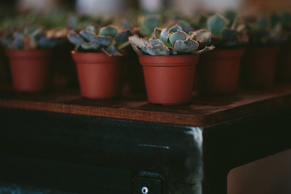 asheville wedding photographer, kasey loftin photography