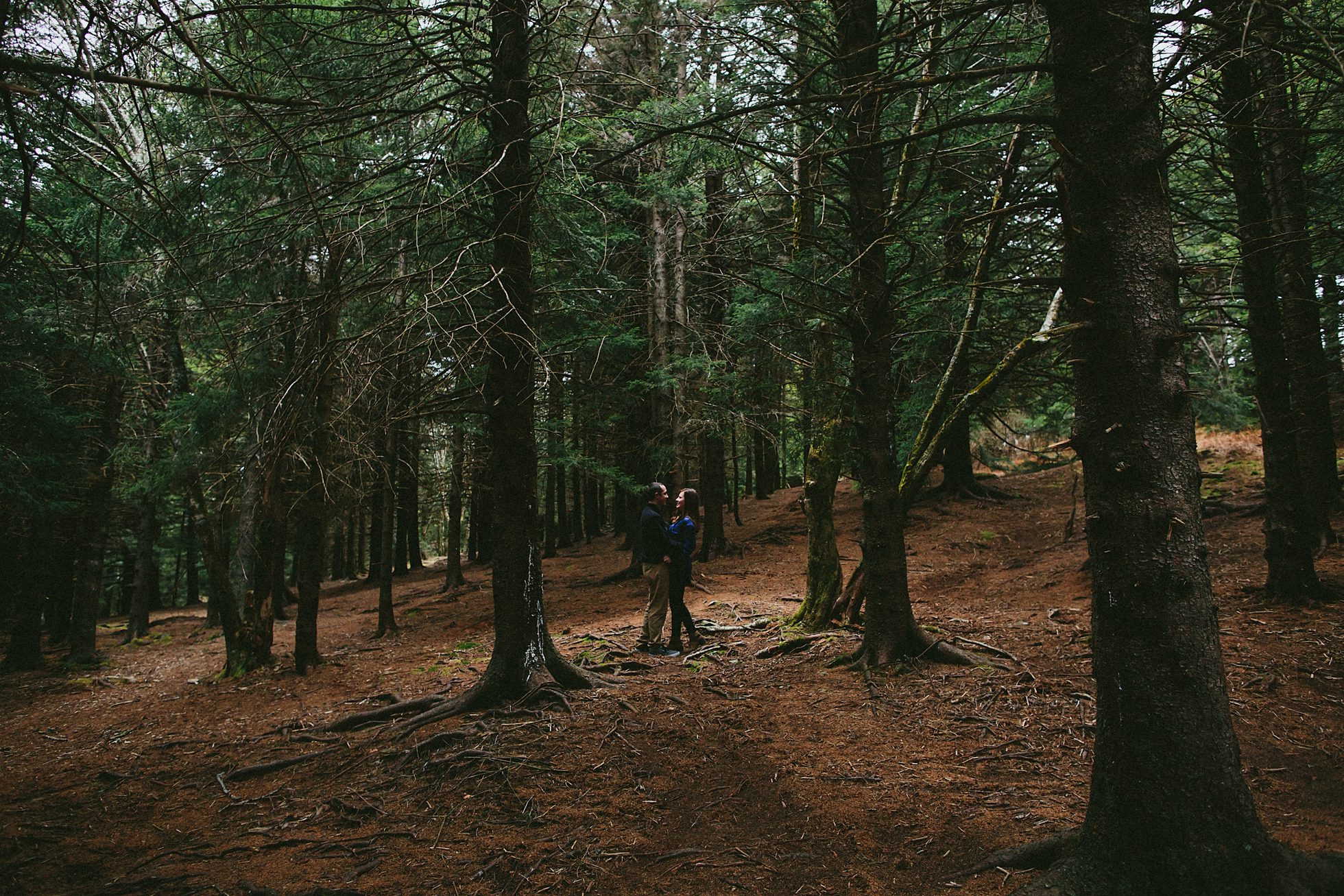 black balsam engagement photos, kasey loftin photography