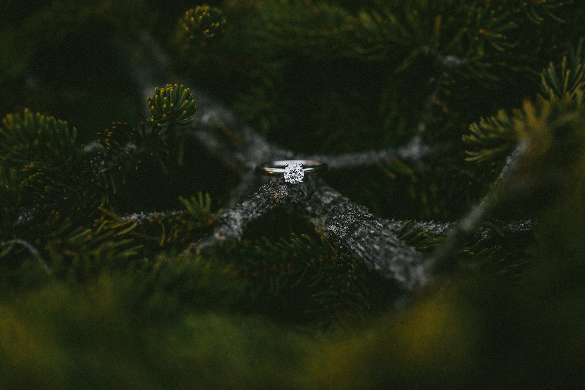 black balsam engagement photos, kasey loftin photography