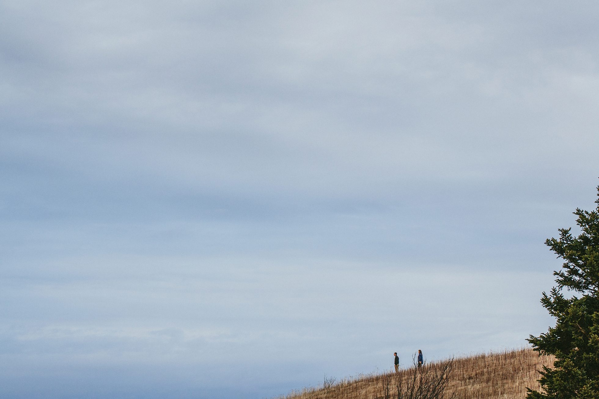 black balsam engagement photos, kasey loftin photography