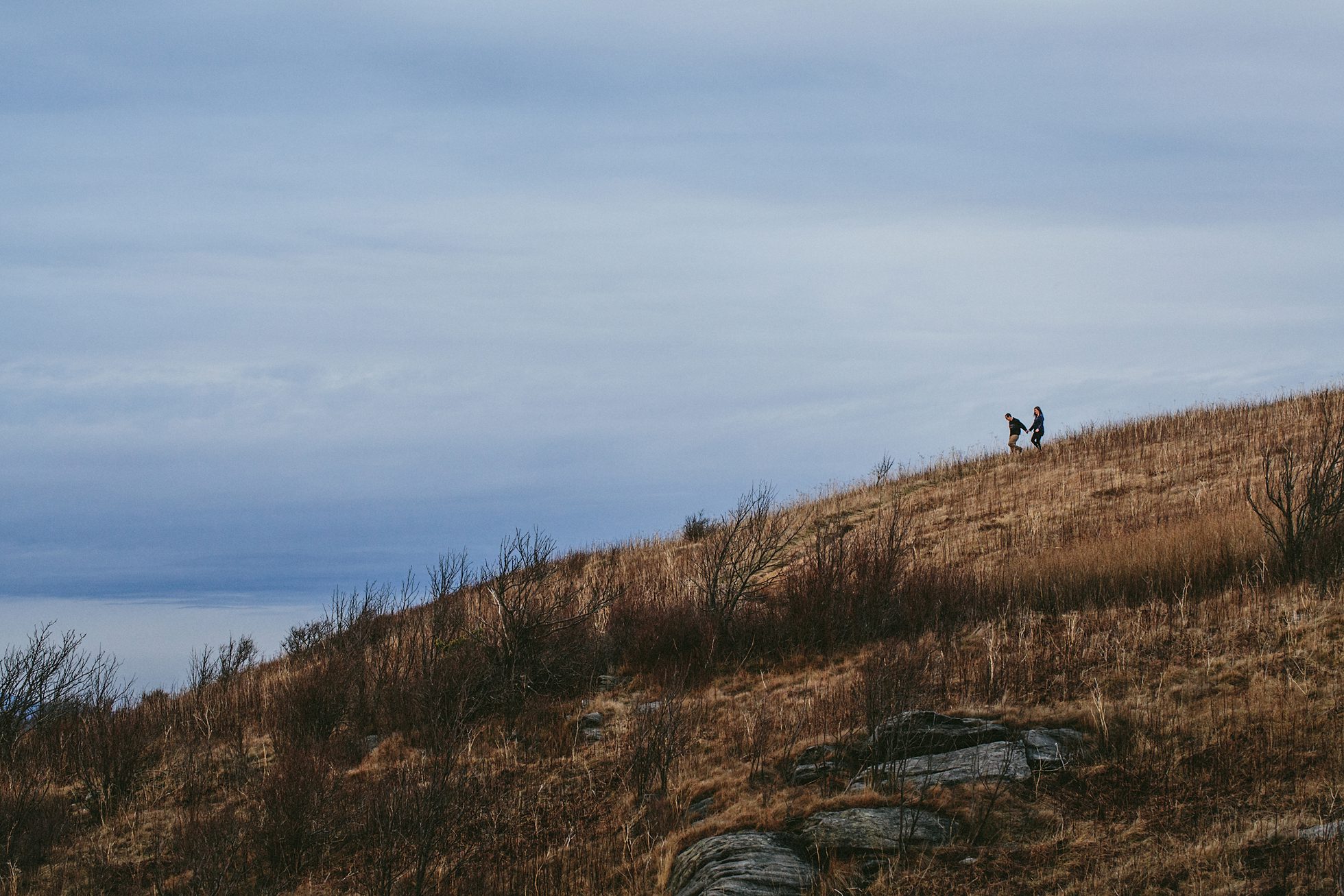 black balsam engagement photos, kasey loftin photography