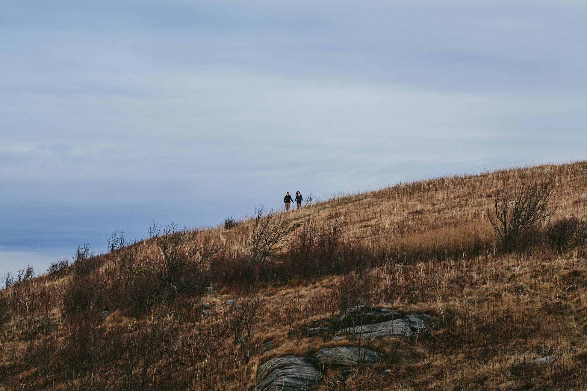 black balsam engagement photos, kasey loftin photography