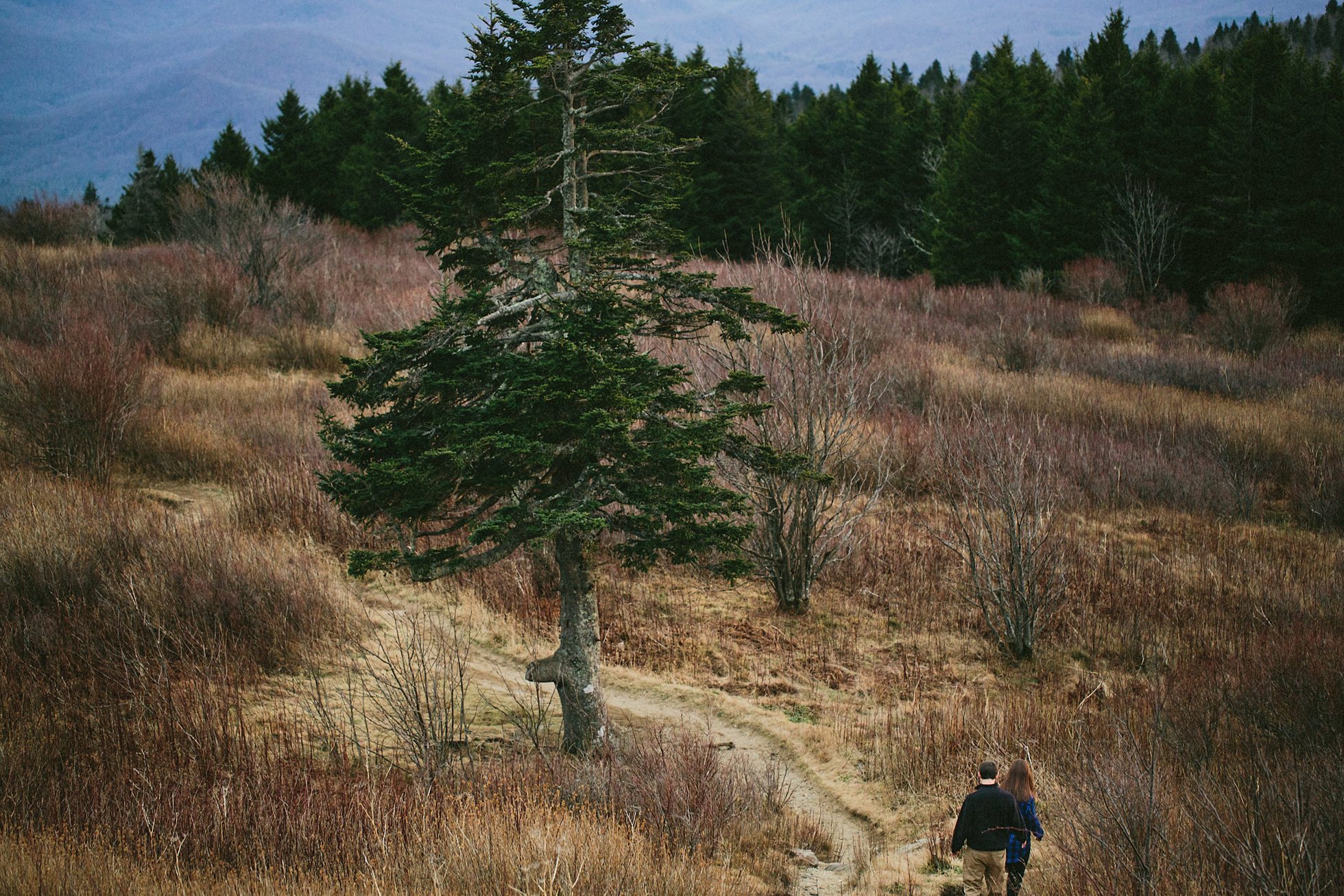 black balsam engagement photos, kasey loftin photography