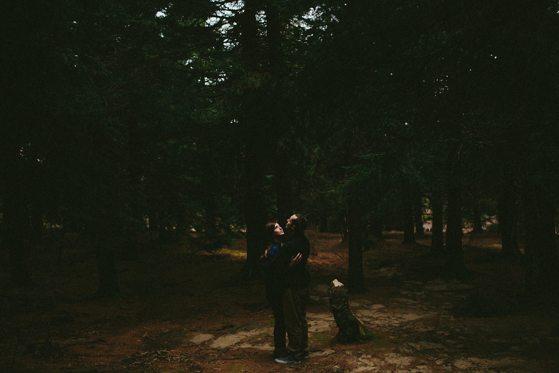 black balsam engagement photos, kasey loftin photography