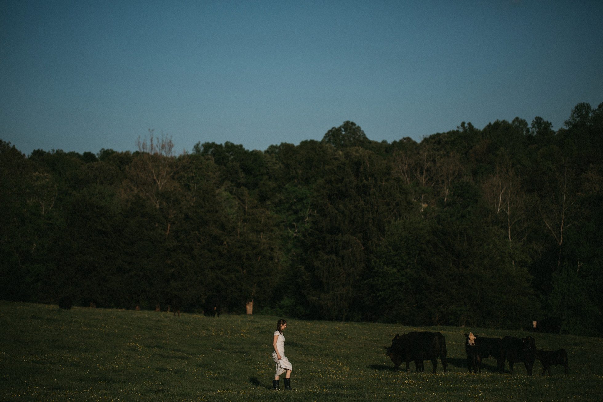 charlotte wedding photographer, lace dress bridal portraits 