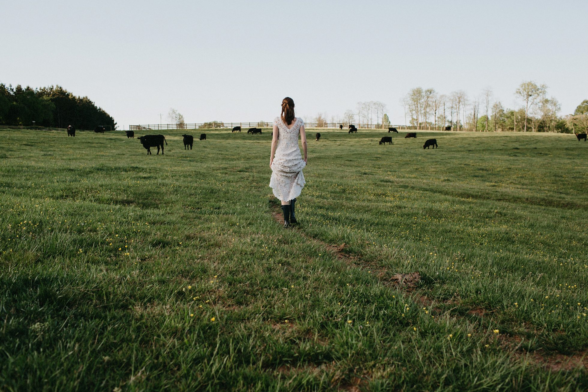 charlotte wedding photographer, lace dress bridal portraits 