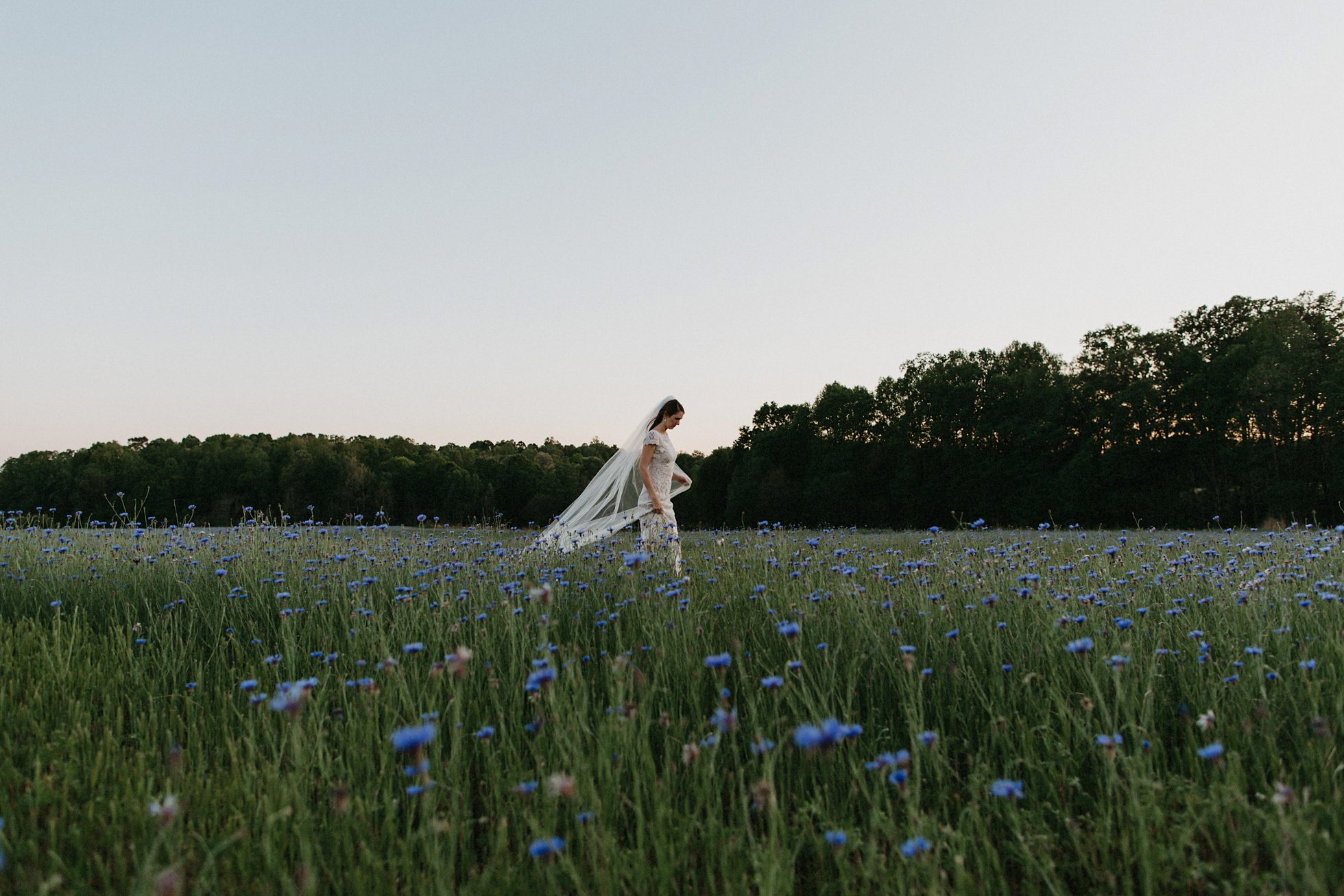 charlotte wedding photographer, lace dress bridal portraits 