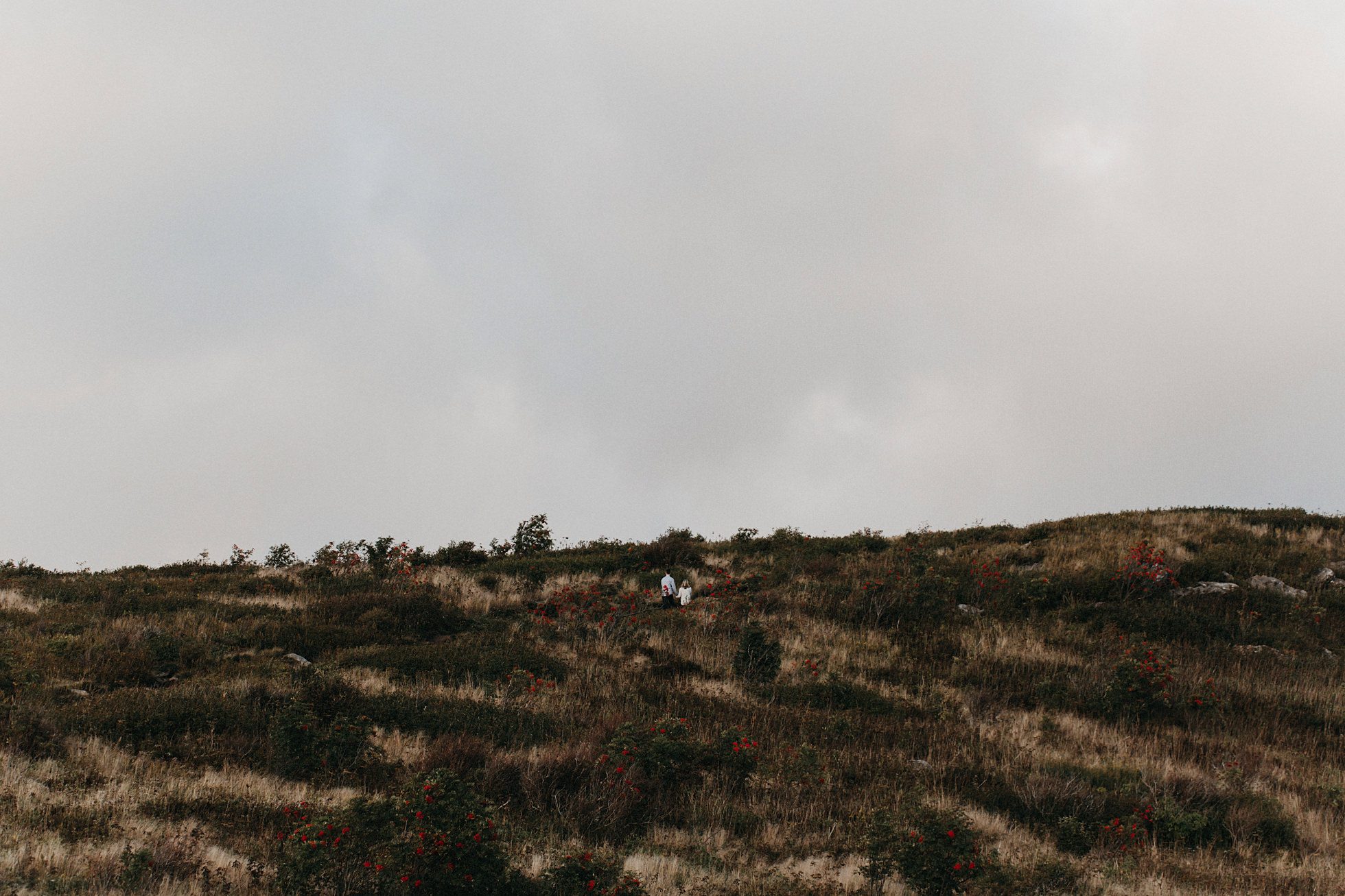 asheville wedding photographer, kasey loftin photography