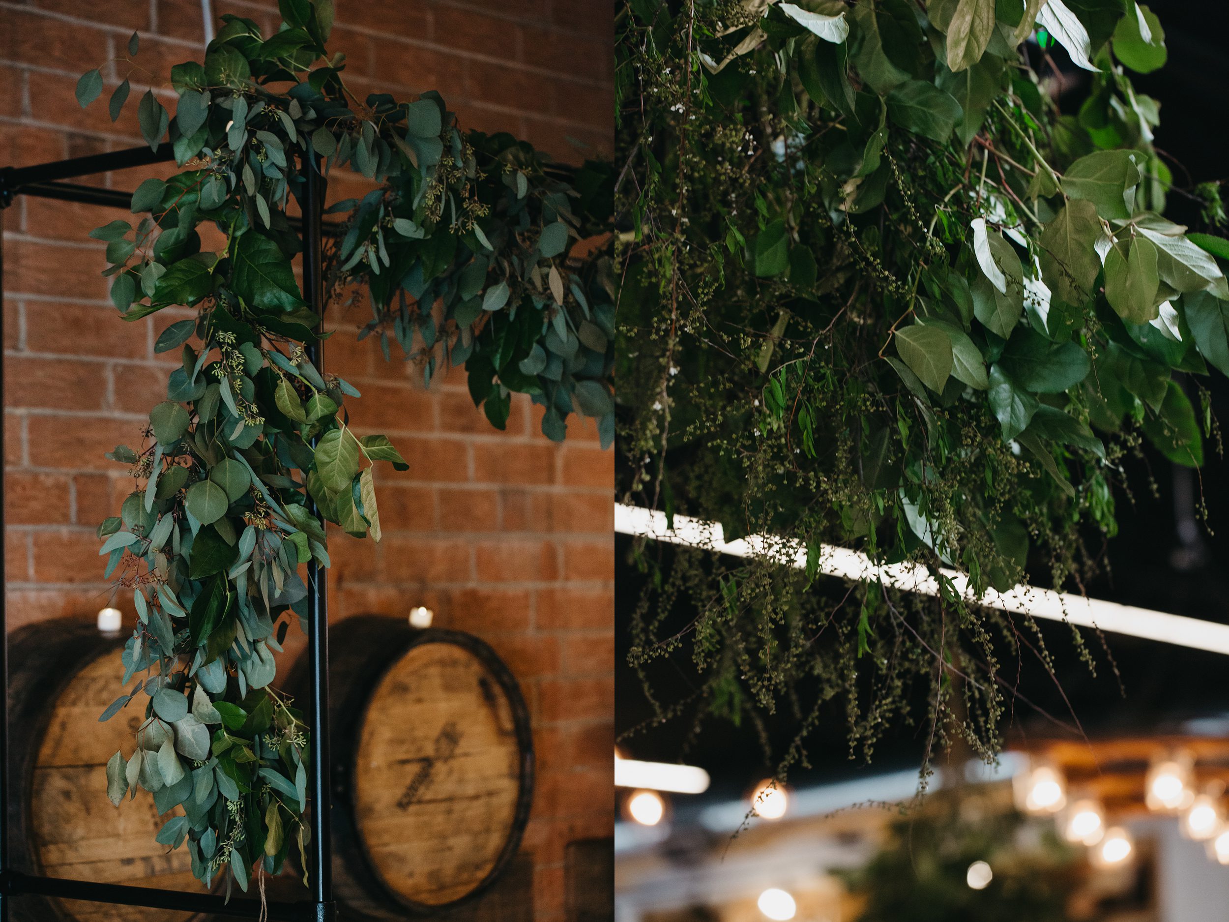 charlotte wedding and elopement photographer, kasey loftin